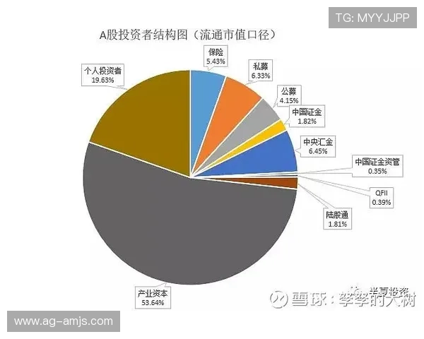 金沙中国市值波动对投资者信心及公司战略调整的影响分析 金沙中国市值波动对投资者信心及公司战略调整的影响分析