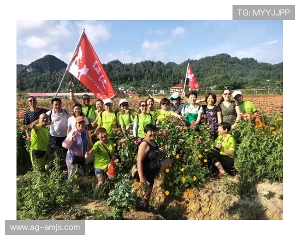 提升游戏体验的K8金沙电子界面设计与操作流程详解 提升游戏体验的K8金沙电子界面设计与操作流程详解