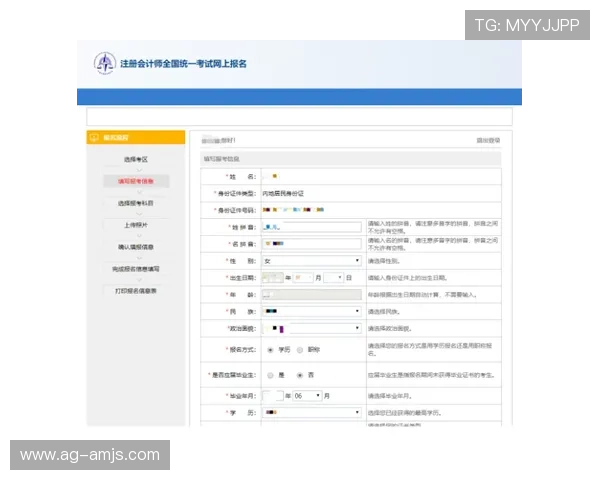 金沙澳门官网4166注册流程详解，新手玩家快速上手攻略全攻略推荐